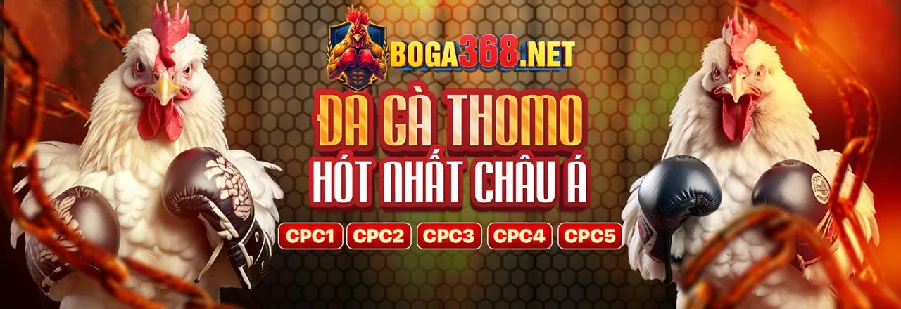 Giao diện hướng dẫn đặt cược thể thao trên nền tảng 58win1 chính thức