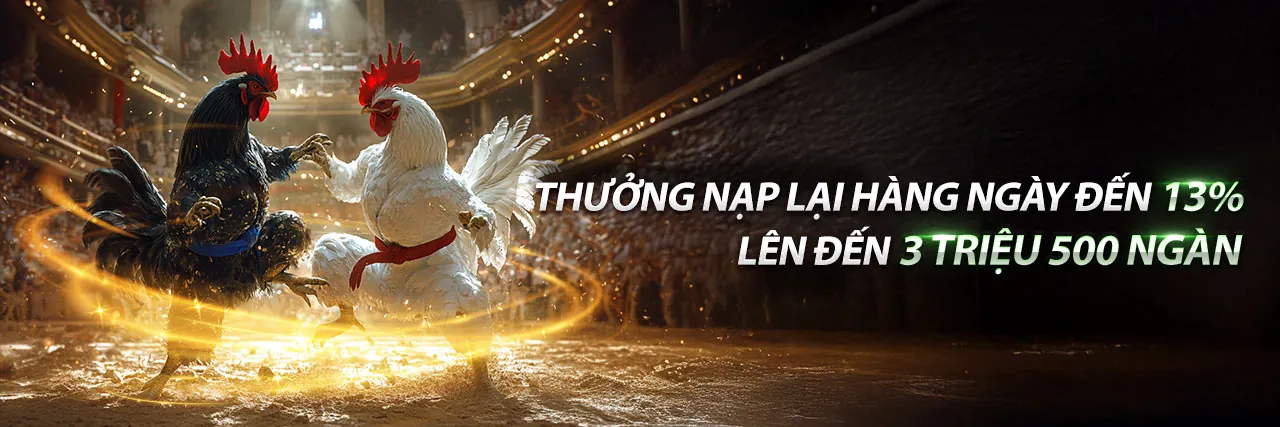 Đá Gà Trực Tuyến Hấp Dẫn tại 58win1 Chính Thức